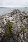 Costa rocosa del Superior de lago - foto de stock