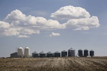 Grain Bins In Field — Stock Photo