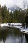Река в зимнем пейзаже — стоковое фото