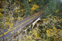 Cores de outono ao longo da estrada — Fotografia de Stock