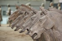 Cavalos do Exército de Terracota — Fotografia de Stock