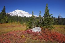 Monte Rainier y colores de otoño - foto de stock