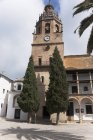 Colegiata Santa Maria La Mayor — стокове фото