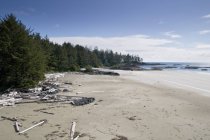 Longue plage avec bois flotté — Photo de stock
