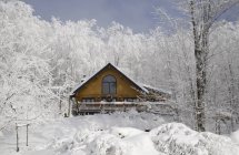 Бревенчатый дом зимой — стоковое фото