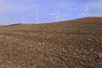 Turbinas eólicas em campo vazio — Fotografia de Stock