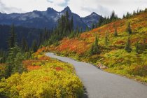 Colores de otoño y sendero en las montañas Tatoosh - foto de stock