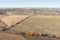 Aerial de campos colhidos — Fotografia de Stock