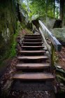 Wooden Steps Through Forest — Stock Photo