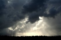 Буря буря хмари над деревами — стокове фото