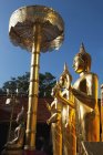 Буддийские статуи в храме, Таиланд — стоковое фото
