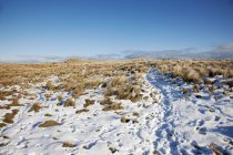 Снег на гравийном поле — стоковое фото