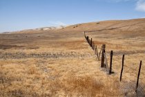 Zaun entlang braunem Gras — Stockfoto