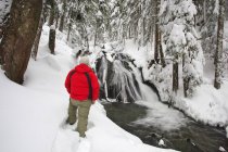 Persona in piedi nella neve a Hood National Forest. Oregon, Stati Uniti — Foto stock