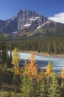 Herbst am Fluss Athabasca — Stockfoto