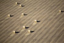 Balles de foin dans un champ récolté — Photo de stock