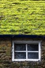 Gras wächst auf dem Dach — Stockfoto