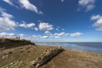 Северное море, вид с берега — стоковое фото