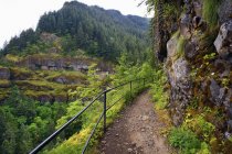 Trail per Mccord Creek Falls — Foto stock