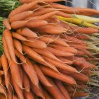 Manojos de zanahorias en el mercado - foto de stock