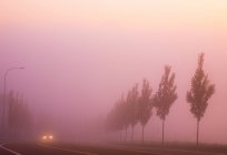 Автомобиль на сельском шоссе в тумане — стоковое фото