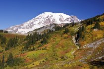 Autumn Colors In Mt. Rainier National Park — Stock Photo