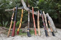 Variedade de Didgeridoo alinhado — Fotografia de Stock