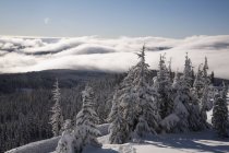 Montañas nevadas durante el invierno - foto de stock
