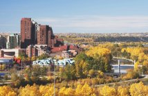 Autunno a Bow River Valley — Foto stock