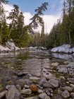 Stream, Whistler, Columbia Británica - foto de stock