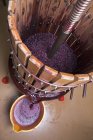 Prensa de uva con jugo de uva roja - foto de stock