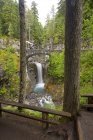 Parco nazionale del Monte Rainier — Foto stock