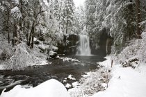 Waterfall In To River In Winter — Stock Photo