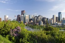 View of city of Calgary — Stock Photo