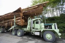 Camión de madera apilado con troncos de cedro en Columbia Británica, Canadá - foto de stock