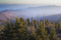 Великі димчасті гори національний парк — стокове фото