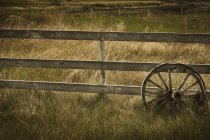 Roue de wagon contre la clôture — Photo de stock