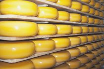Cheese Factory, Alberta, Canada — Stock Photo