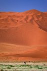 Deserto con dune di sabbia — Foto stock