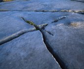 Fechar de uma rocha rachada — Fotografia de Stock