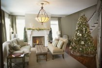 Living Room With Tree — Stock Photo