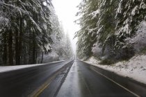 Estrada através da floresta no inverno — Fotografia de Stock