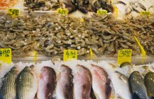 Frutos do mar no mercado de rua — Fotografia de Stock