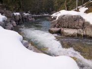 Blick auf Stream in Whistler — Stockfoto