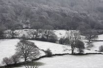 Un paesaggio invernale in vetta — Foto stock