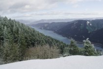 Gola del fiume Columbia dalla montagna del cane — Foto stock