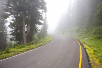 Strada nebbiosa del Parco Nazionale del Monte Rainier — Foto stock