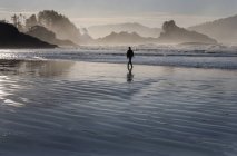 Mann läuft am Strand entlang — Stockfoto