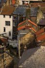 Roothops of Staithes in Yorkshire — стоковое фото