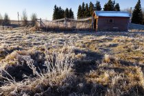 Old Farmhouse And Frost — Stock Photo